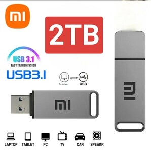 2TB (2000GB)  USBメモリー シルバー キャップ付き USB メモリ キャップ式の画像1