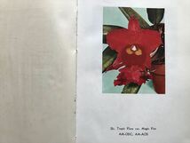 10 365　 カトレヤの品種と系統　A SYSTEMATIC STUDY OF CATTLEYA　　久崎高寛他　　昭和38年9月29日初版発行（1000部）_画像6