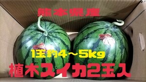 熊本県産植木スイカ2玉入【1玉約4～5kg】品種だんらん◆