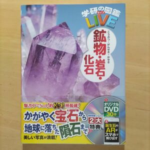 鉱物・岩石・化石 （学研の図鑑ＬＩＶＥ） 松原聰／監修　川上紳一／監修　高橋正樹／監修　三河内岳／監修　加藤太一／監修