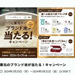 ☆伊藤園☆おーいお茶緑茶600ml☆応募バーコード36枚☆東北のブランド米が当たる！キャンペーン☆の画像2