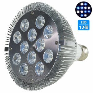 [白6/青6] 24W(2W×12) 電球 E26 口金 水槽 用 照明 植物育成 スポット ライト 12LED アクアリウム 電球 水草 サンゴ 熱帯魚