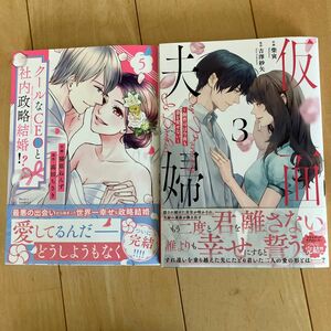 クールなＣＥＯと社内政略結婚！？　５ （Ｂｅｒｒｙ’ｓ　ＣＯＭＩＣＳ　に１－５） 猫原ねんず／作画　高田ちさき／原作　仮面夫婦　3