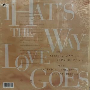 Janet Jackson - That's The Way Love Goes 12inch / James Brown Papa Don't Take No Mess / Toto Georgy Porgy / 人気盤 / カット盤