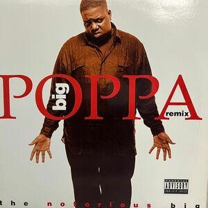 The Notorious B.I.G. - Big Poppa (Remix) USオリジナル盤 / 人気盤 / レア / 