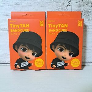 BTS タイニータン Jung Kook 絆創膏 TinyTAN K-POP 新品 2点セット 送料込み