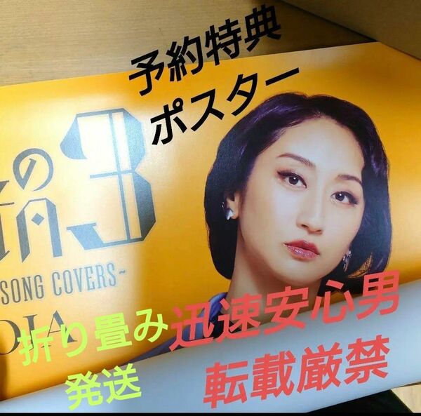 Ms.OOJA　ポスター　cd予約特典 流しのオージャ　折り畳み