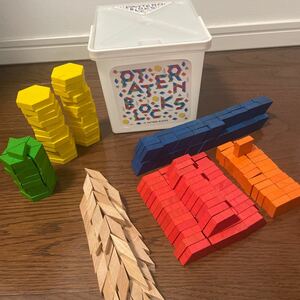 東洋館出版パターンブロック（木製玩具・250ピース）と「構成力をのばすパターンブロックタスクカード」２点セット　