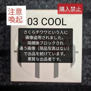 購入不可！　ティーフィット　カバーアップ プロ コンシーラー　COOL