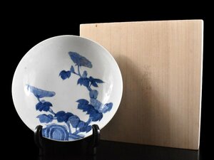 【雲】某有名収集家買取品 傑作 鍋島 染付花紋皿 直径20cm 箱付　古美術品(古伊万里大皿染錦)CA9417 OTvcx ABmnb