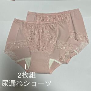 2枚組 L 尿漏れパンツ 20cc 失禁ショーツ 軽失禁 ピンク　テイジン レース 安心ショーツ 女性用 失禁パンツ レディース 婦人　♪