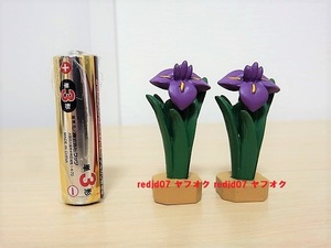 ◎ 【送料無料】 デコレ　コンコンブル　花菖蒲セット　フィギュア　ミニチュア　端午の節句　こどもの日　decole　concombre　◎