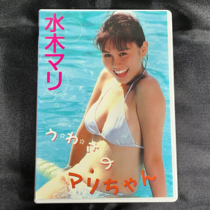 水木マリ うわさのマリちゃん / 水木まり / 中古DVD 美品