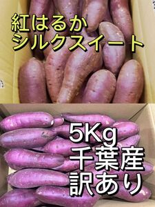 さつまいも 5KG 紅はるか または シルクスイート B品 訳あり 千葉茨城産