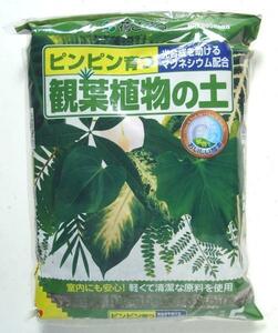 葉色鮮やか！ピンピン育つ　観葉植物の土　５Ｌ　1221091