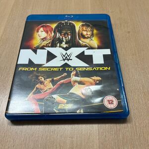 Blu-ray WWE NXT From Secret To Sensation 2枚組　輸入盤