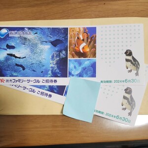 ＮＨＫＤＶＤ 水族館〜Ａｎ Ａｑｕａｒｉｕｍ〜新江ノ島水族館 （趣味／教養）