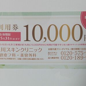 品川美容外科 品川スキンクリニック 美容皮膚科 10000円分 1万円分 ご利用券 クーポン 割引券