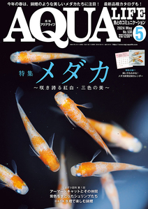 送料無料★本 月刊アクアライフ 最新号 ２０２４年５月号 ＡＱＵＡＬＩＦＥ