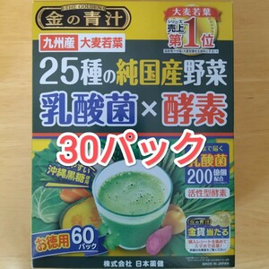 金の青汁 25種の純国産野菜 乳酸菌×酵素　30パック