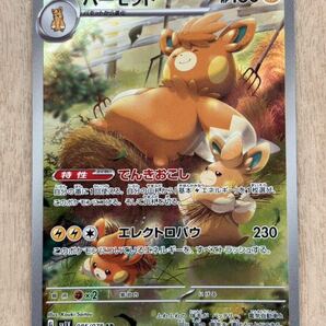 ポケモンカードゲーム ボチ パーモット アノクサ AR 3枚セット pokemon ポケカの画像5