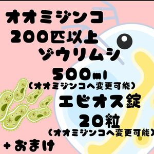 オオミジンコ（2mm以上）200匹以上　ゾウリムシ500ml（オオミジンコ変更可）　エビオス錠20粒（オオミジンコ変更可）＋おまけ