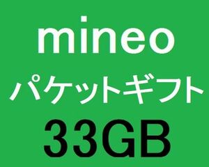 33GB(9999MB+9999MB+9999MB+3003MB)mineo мой Neo пачка подарок код 