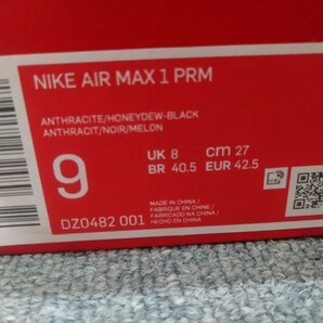 1000円売切 27.0cm Nike Air Max 1 Duck Pack Honey Dewナイキ エアマックス1 ダックパック ハニーデューDZ0482-001の画像5