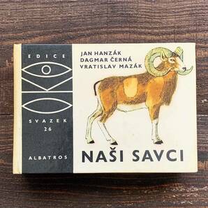 チェコの古い哺乳類の図鑑(NASI SAVCI 1970年)/アンティーク ヴィンテージ ヨーロッパ 哺乳類図鑑 動物図鑑 雰囲気◎/の画像1