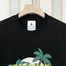 個性 定価2万 FRANKLIN MUSK・アメリカ・ニューヨーク発 半袖Tシャツ 薄手 吸汗 通気 ゆったり スウェット オシャレ 日常 夏 サイズ4_画像3