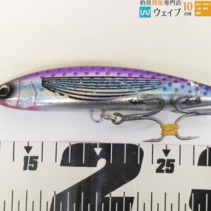 ダイワ ソルティガ ラフライド 160F ヒラマサチューン・マリア ダックダイブ F190 等計10個中古 ソルトルアー セットの画像5