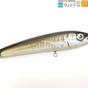 カーペンター ブルーフィッシュ 60-170 美品の画像6