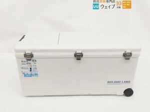 伸和 ホリデーランド クーラーボックス 48L ※注有