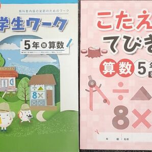 最新 新品 小5　算数　小学生ワーク　啓林館　小学5年生　問題集　教科書ワーク