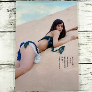 [高品質ラミネート処理][ 小松彩夏 ] プレイボーイ 2007年51雑誌 切り抜き 12P B5フィルム 水着 グラビア アイドル 芸能人 女優の画像4