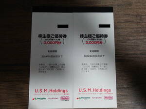 【即決】【送料込】ユナイテッドスーパーマーケット 株主優待券6000円分 カスミ マルエツ USMH■期限:2024/6/30まで■