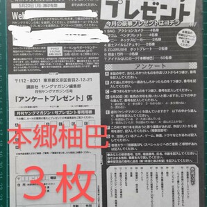 ■３枚セット■応募用紙 月刊ヤングマガジン ５号 本郷柚巴 クオカード など 抽プレ ★送料63円〜の画像1