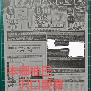 ★在庫８★応募用紙 週刊ヤングマガジン 21,22合併号 沢口愛華、本郷柚巴 クオカード など 抽プレ   送料63円〜の画像1