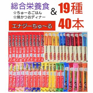 いなば エナジーちゅーる ＆総合栄養食 19種40本 キャットフード 焼かつおディナーちゅーる ちゅーるごはん