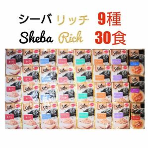 シーバリッチ 9種30食 キャットフード 猫ウェットフード 猫パウチ 