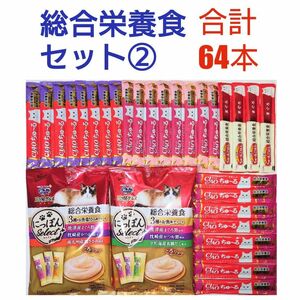 総合栄養食 セット② ちゅーる とろリッチ 猫おやつ キャットフード グレインフリー 乳酸菌