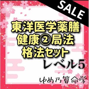 【~4/30まで】￥1,230割引　東洋医学/健康２局法/格法セット　レベル５