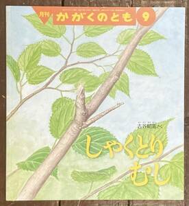 【即決】しゃくとりむし/吉谷昭憲/かがくのとも 510号/2011年/福音館書店/絵本/科学/ペーパーバック/シャクトリムシ/尺取虫/幼虫/生態