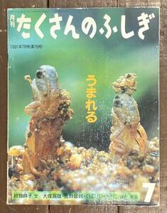 【即決】うまれる/越智典子/Ｇ.ロバートソン/たくさんのふしぎ/76号/1991年/福音館書店/ふしぎ新聞/絵本/写真/生物の生まれ方/誕生