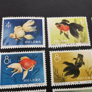150906S62-160414S1■中国切手■特38 金魚シリーズ 12種完 未使用 中国人民郵政の画像2