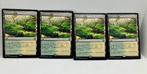 MTG 吹きさらしの荒野 日本語版