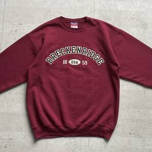 champion チャンピオン カレッジロゴ BRECKENRIDGE プルオーバー パーカー ボルドー Mの画像2