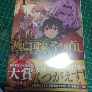 単★新刊　滅亡国家のやり直し　今日から始める軍師生活　１ （ＳＱＥＸノベル） ひろしたよだか／著