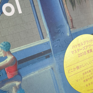 13118-03★青幻舎 Swimming Pool マーリア・シュヴァルボヴァー 完全日本語版★の画像9