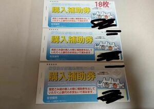 佐世保市家庭系指定ごみ袋　購入補助券　18枚